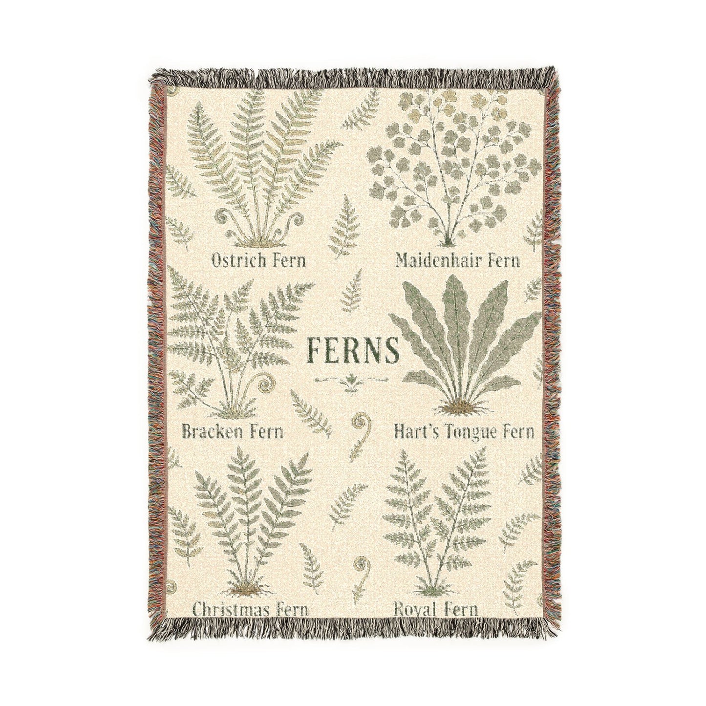 Homeschool ferns Throw Blanket — Botanical Vintage Herb Design